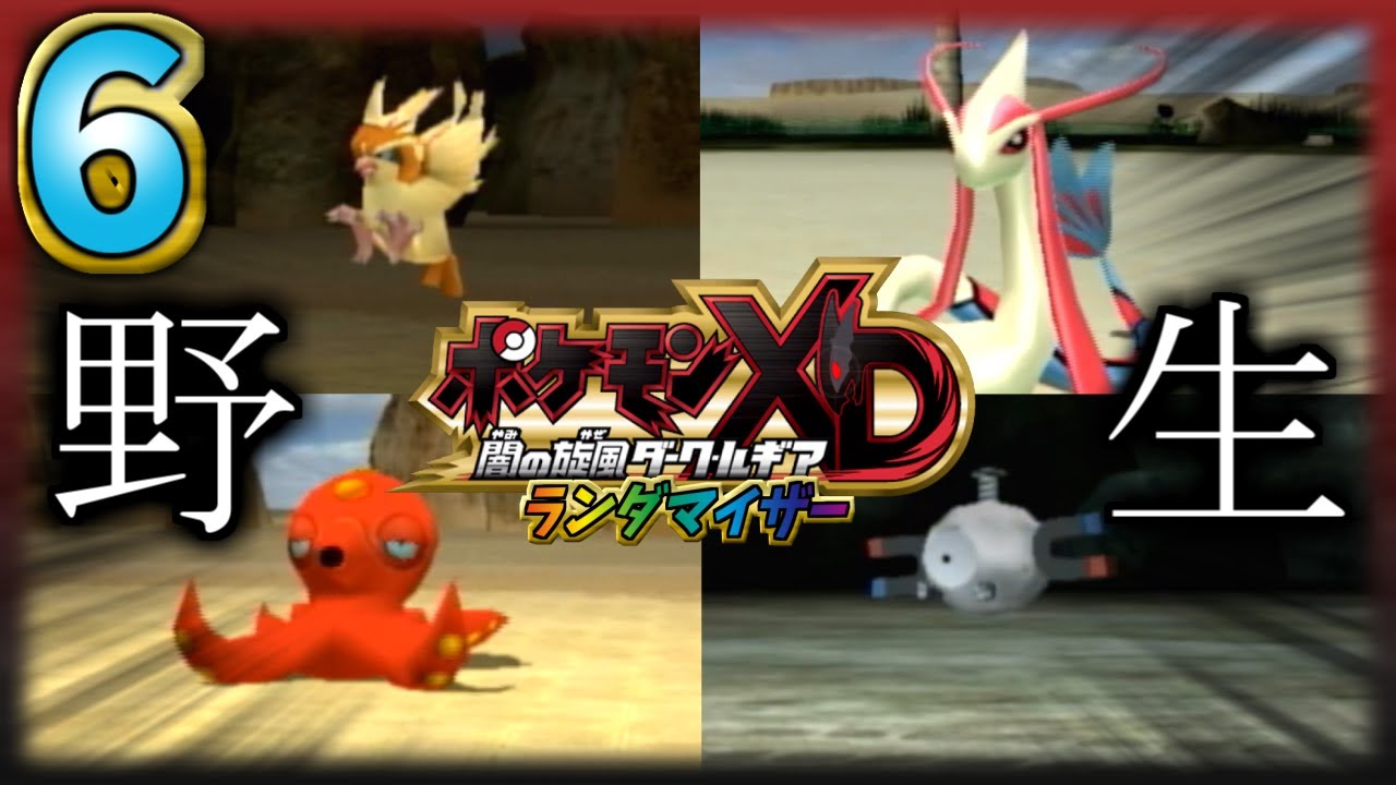 【ポケモンXD】ランダム化してみた　Part６