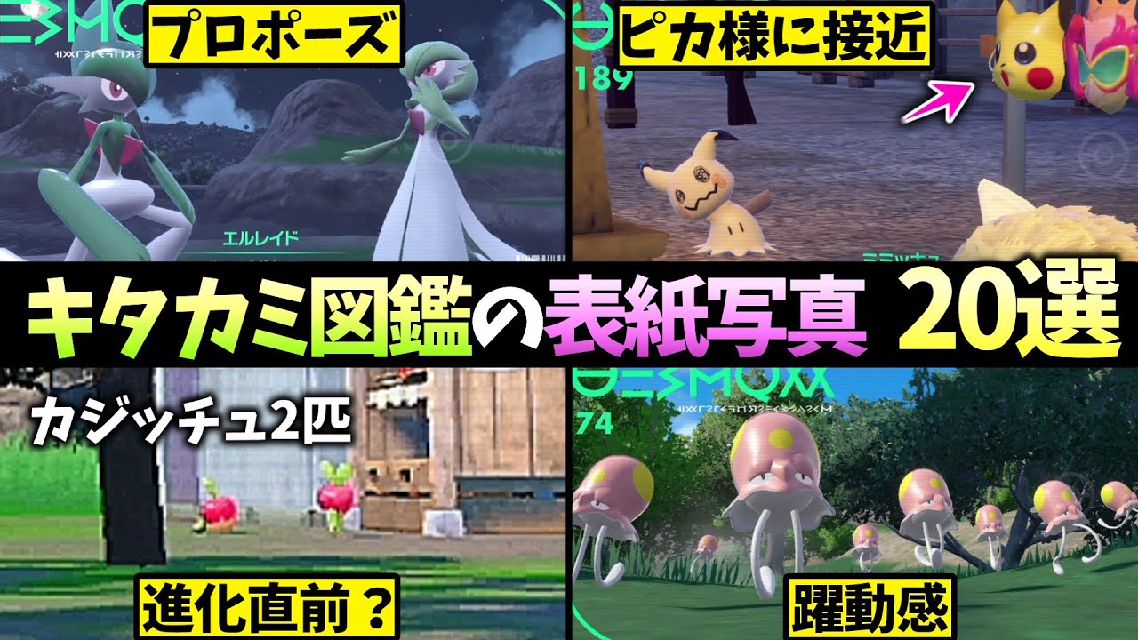 捕食や進化等様々な生態がわかるキタカミ図鑑の表紙写真まとめ【ゆっくり解説】【碧の仮面】