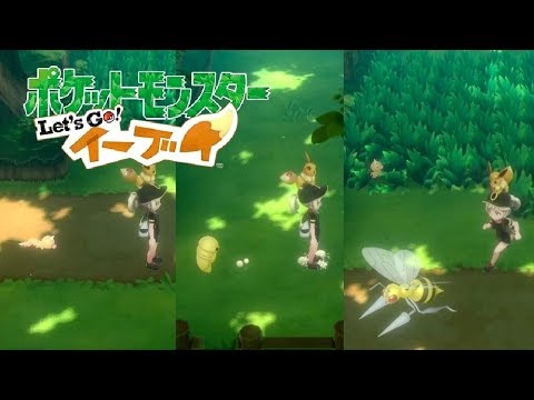 【ピカブイ】ビードル&コクーン&スピアーの連れ歩き！【ポケモンレッツゴー イーブイ】