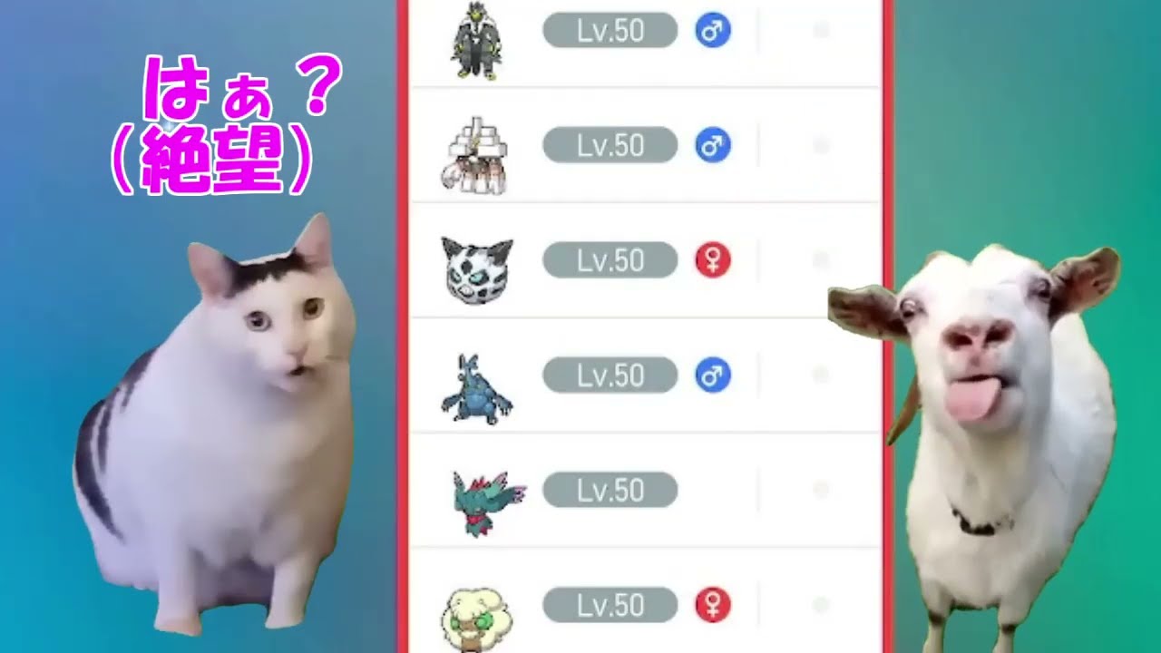 【ポケモン】バレンタインの奇跡【ポケットモンスタースカーレット・バイオレット・SV】