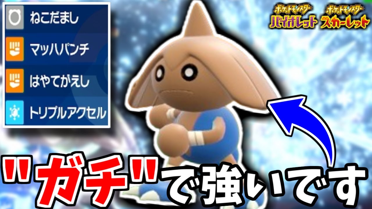 先制技を高火力で叩きつける「カポエラー」が"ガチ"で強すぎる件【ポケモンSV】