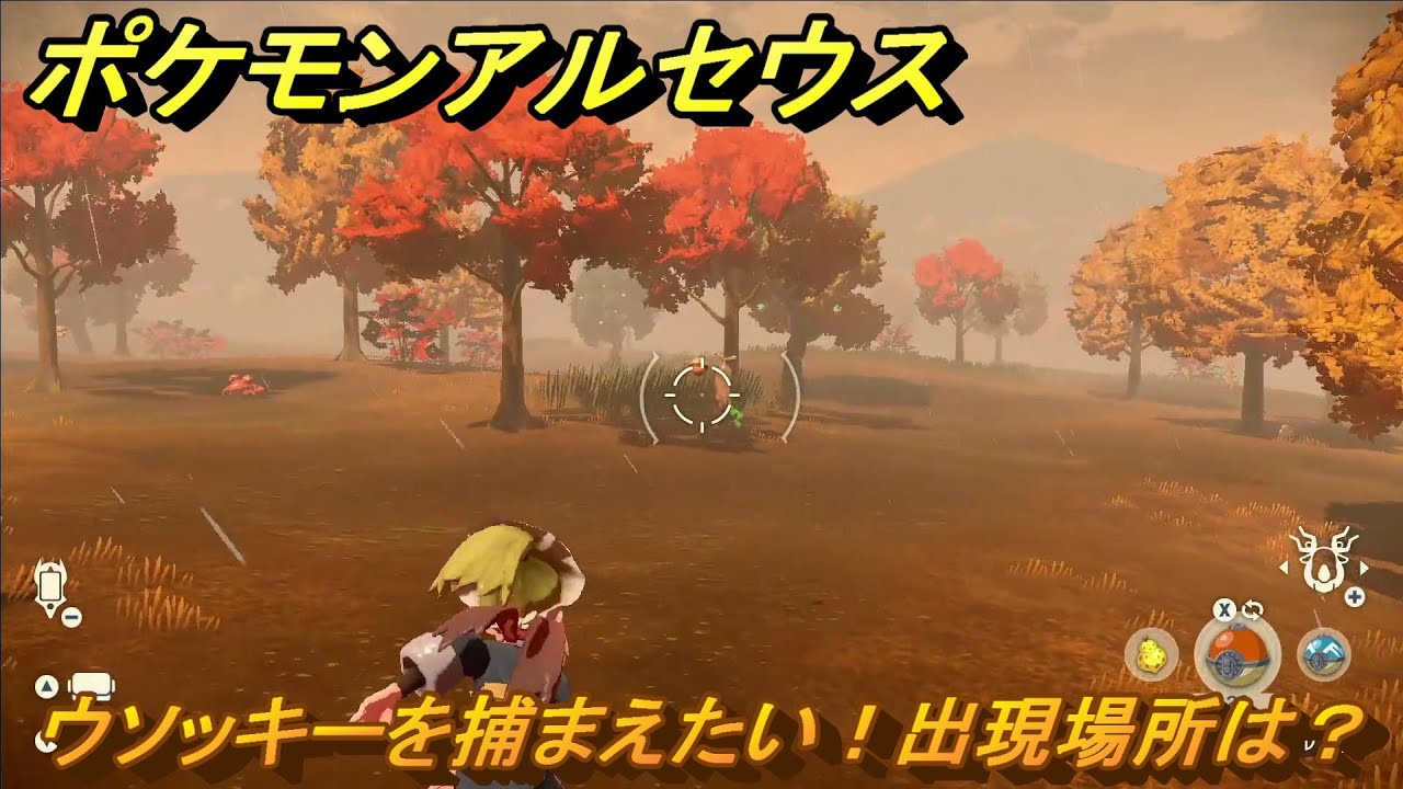 ポケモンアルセウス　ウソッキーを捕まえたい！出現場所は？　＃７２　【Pokémon LEGENDS アルセウス】