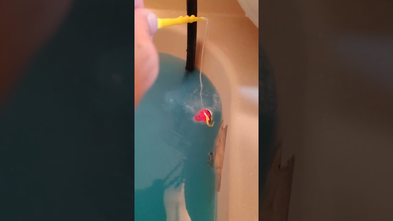 びっくら？たまご ポケモンつりvol.2本編