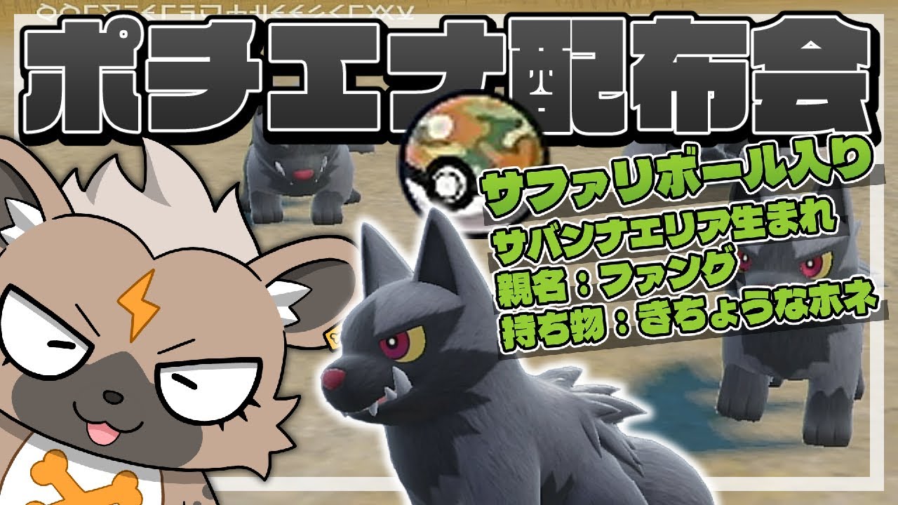【ポケモンSV】サファリボール入りポチエナ配布会！！時間余ったら特別講師イベント見る！！（配布会・交換会）【骨淵ファング】#ポケモンSV #Vtuber #ポケットモンスター