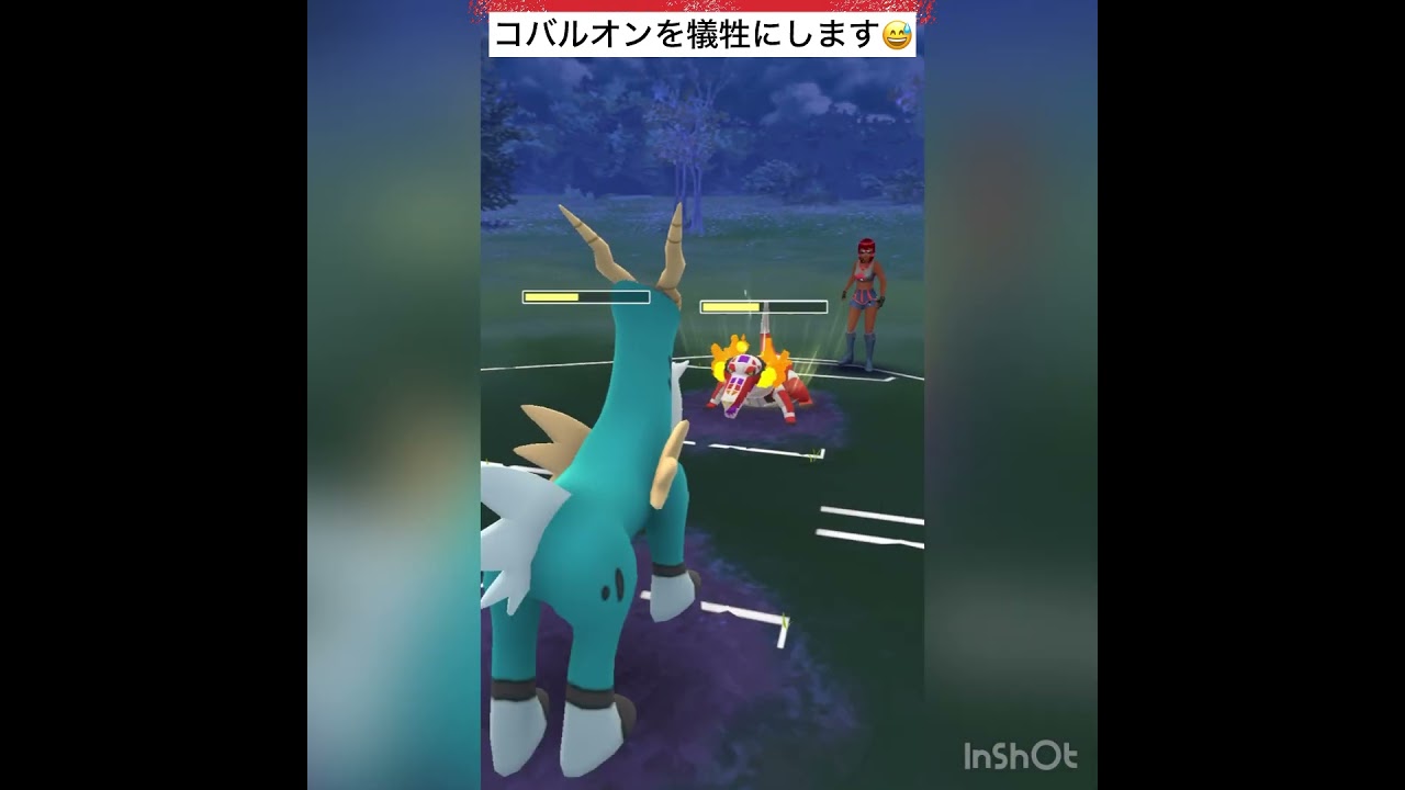 コバルオン………！(◎_◎;)