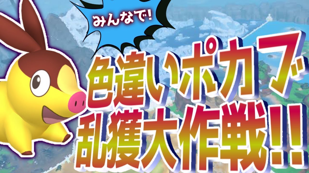 みんなで挑戦！色違いポカブ捕獲大作戦！！【ポケモンSV スカーレット バイオレット】