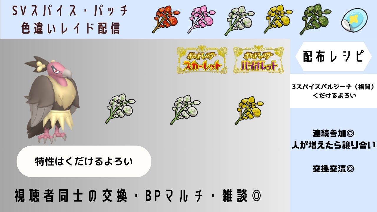 【ポケモンSV】しお・しお・すぱ　スパイスバルジーナ（格闘）くだけるよろい 　　#ポケモンSVスパイス配布ライブ