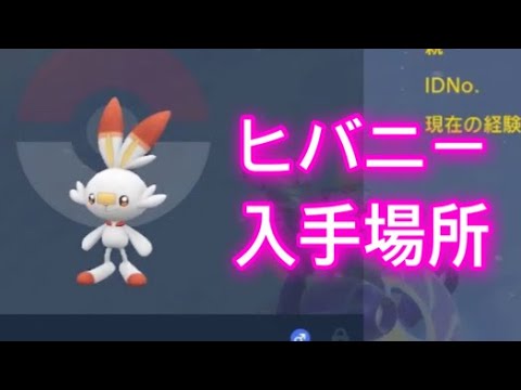 【ポケモンSV】【藍の円盤】ヒバニー入手場所