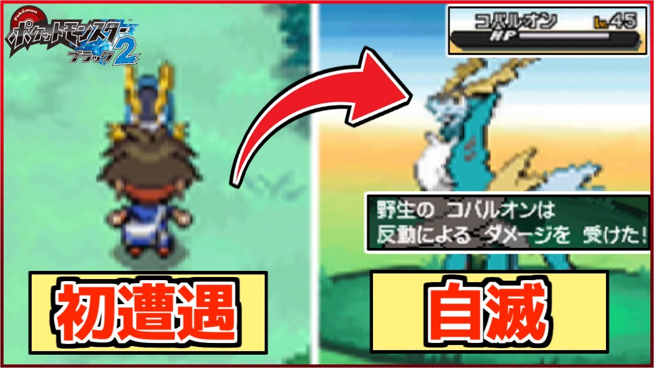 準伝説ポケモン『コバルオン』を捕まえようとしたが不運連続で自滅してしまったんやがwwww【ポケモンBW2】#8