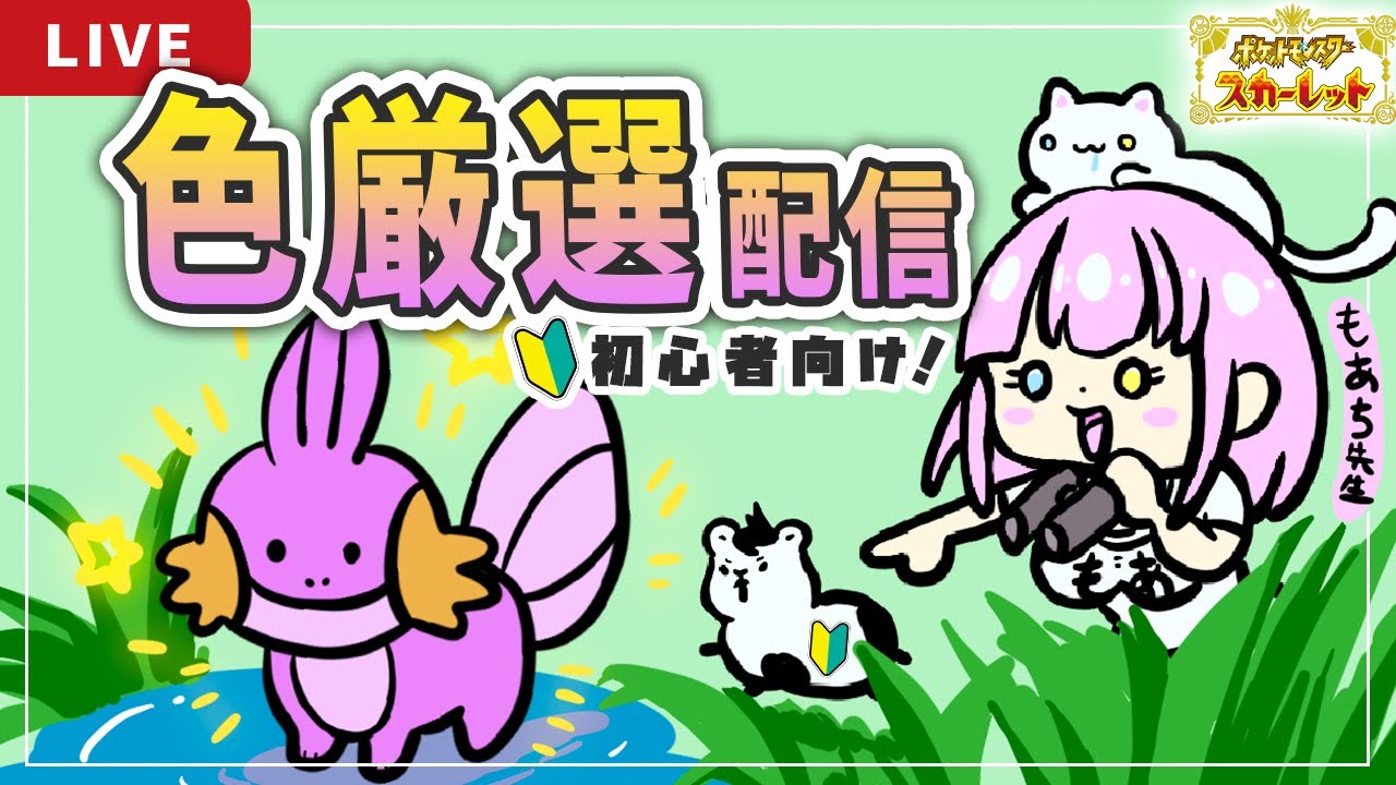 【ポケモンSV】もあち先生と一緒にミズゴロウ色違い厳選配信！