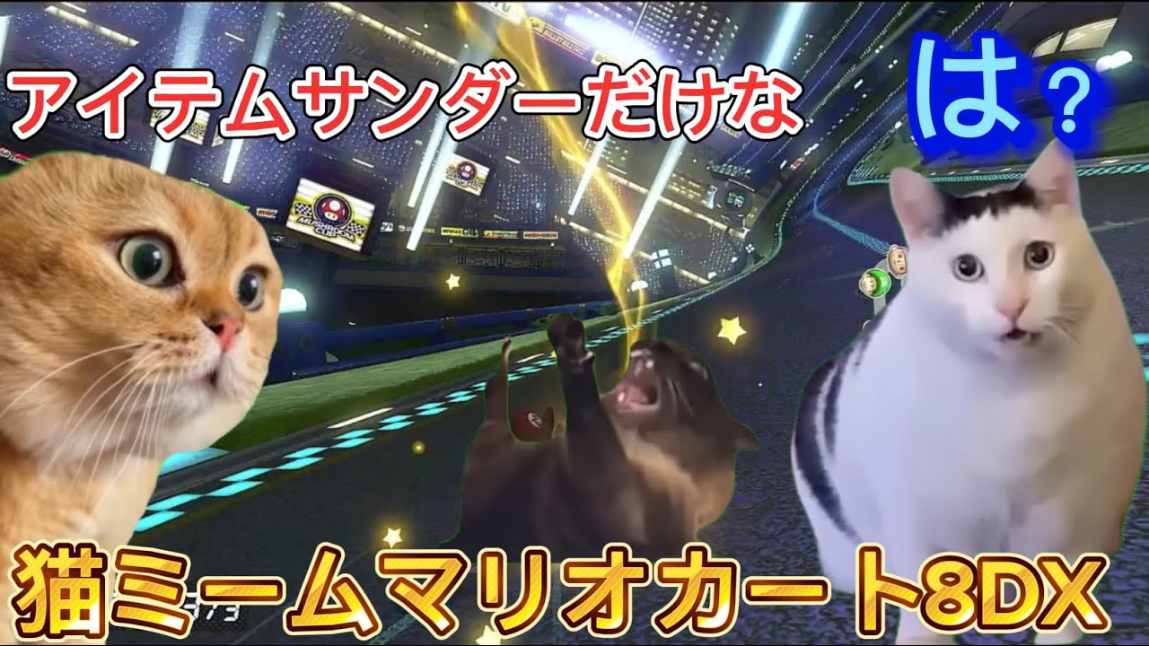 【猫ミーム】アイテムサンダーだけキチ企画 #マリオカート8dx #猫ミーム #猫ミーム 猫meme #猫マニ
