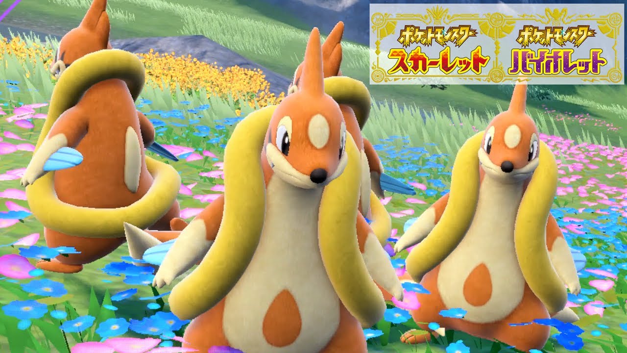 【可愛い】フローゼル６匹に囲まれて癒されピクニック【ポケモンSV】