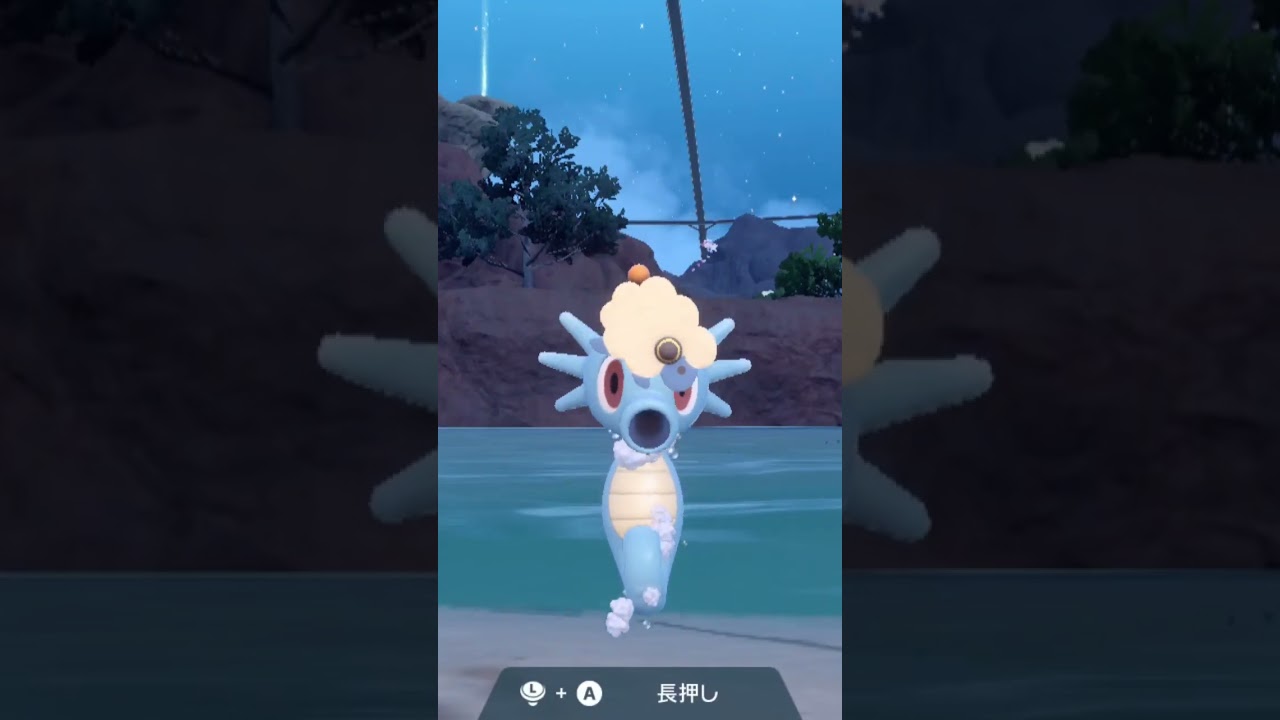 タッツー Horsea【ポケモンsv】