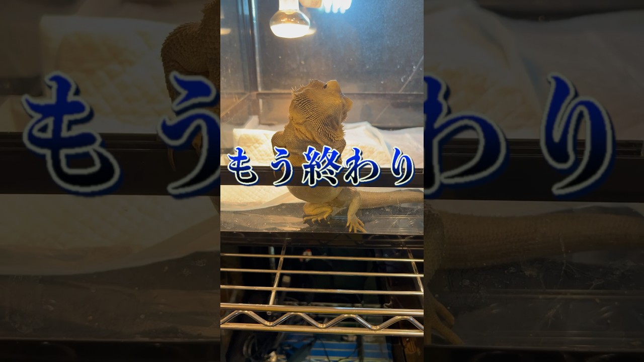 今まで本当にありがとうございました。これで最後になります。