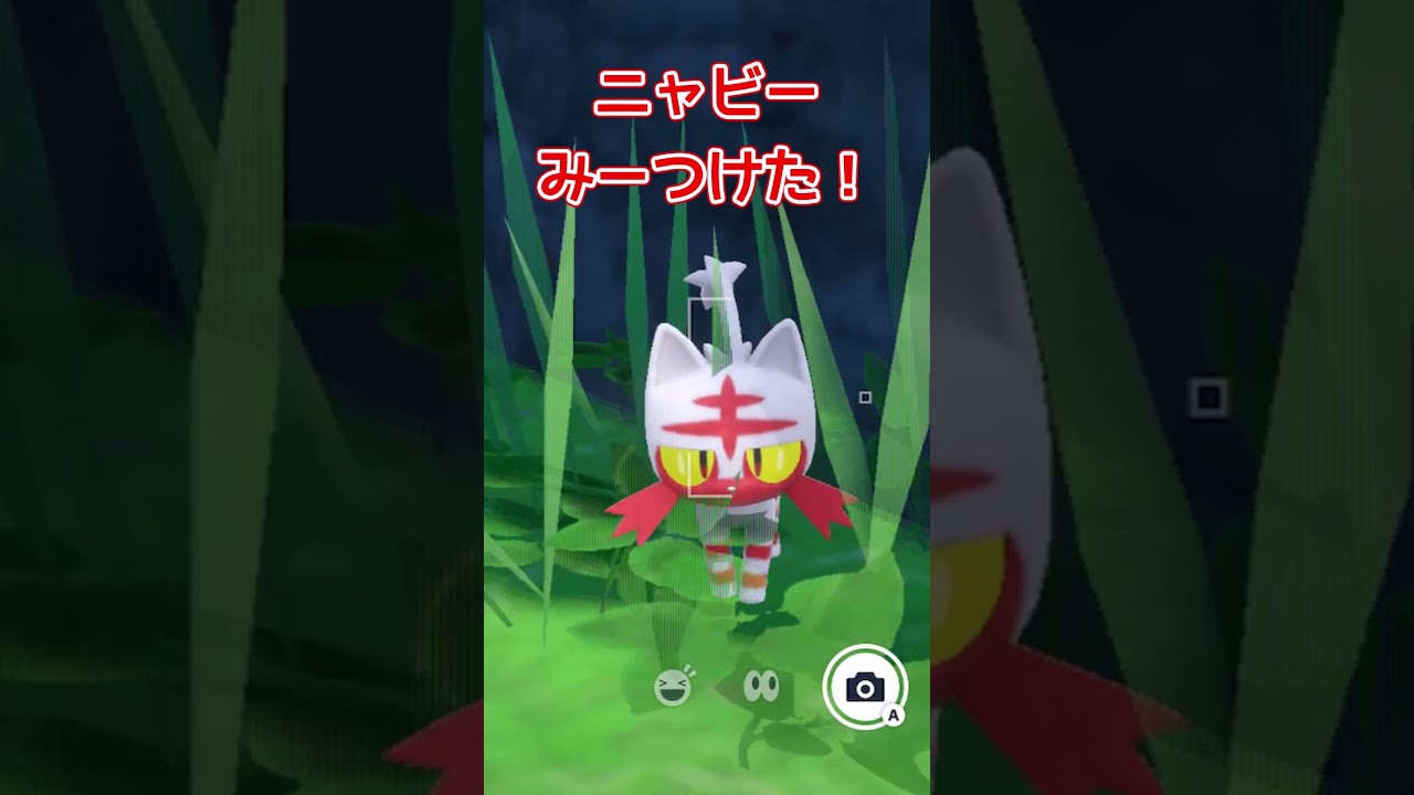 ニャビー見つけた！ #ポケモンsv #色図鑑 #ニャビー