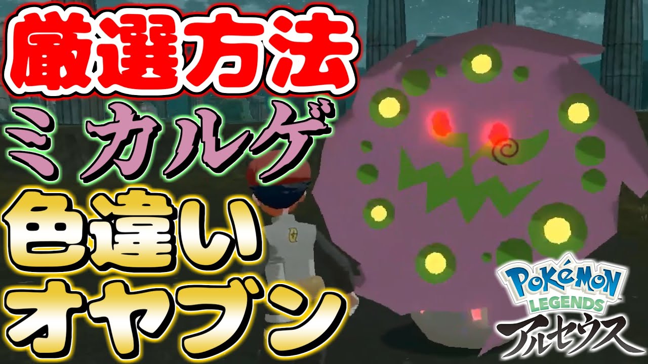 オヤブン色違い『ミカルゲ』厳選方法はこれだ！！【Pokémon LEGENDS/レジェンズ アルセウス】