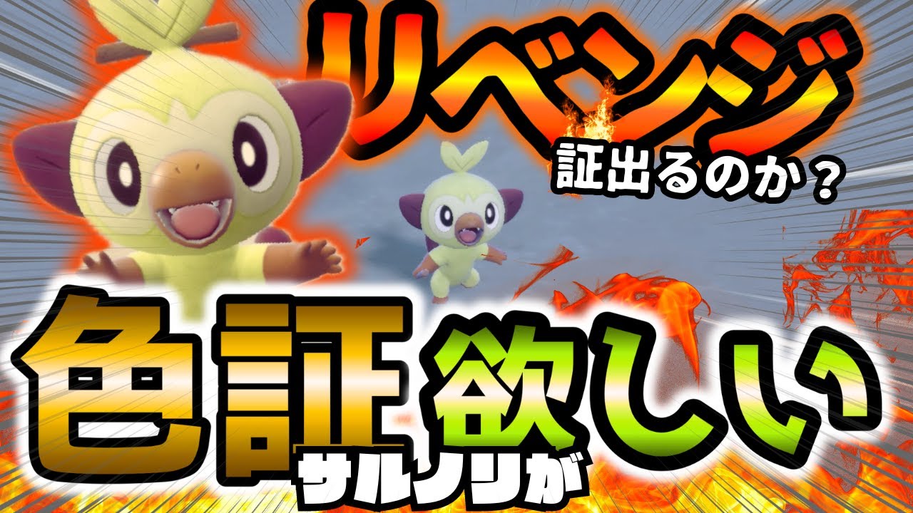 絶対に“色証サルノリ”GETする‼︎これはオレのリベンジだ