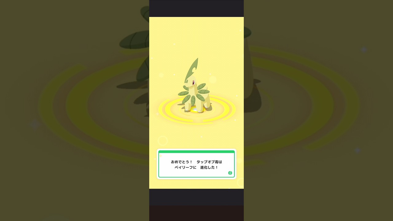 【ポケスリ】チコリータ→ベイリーフに進化させる。