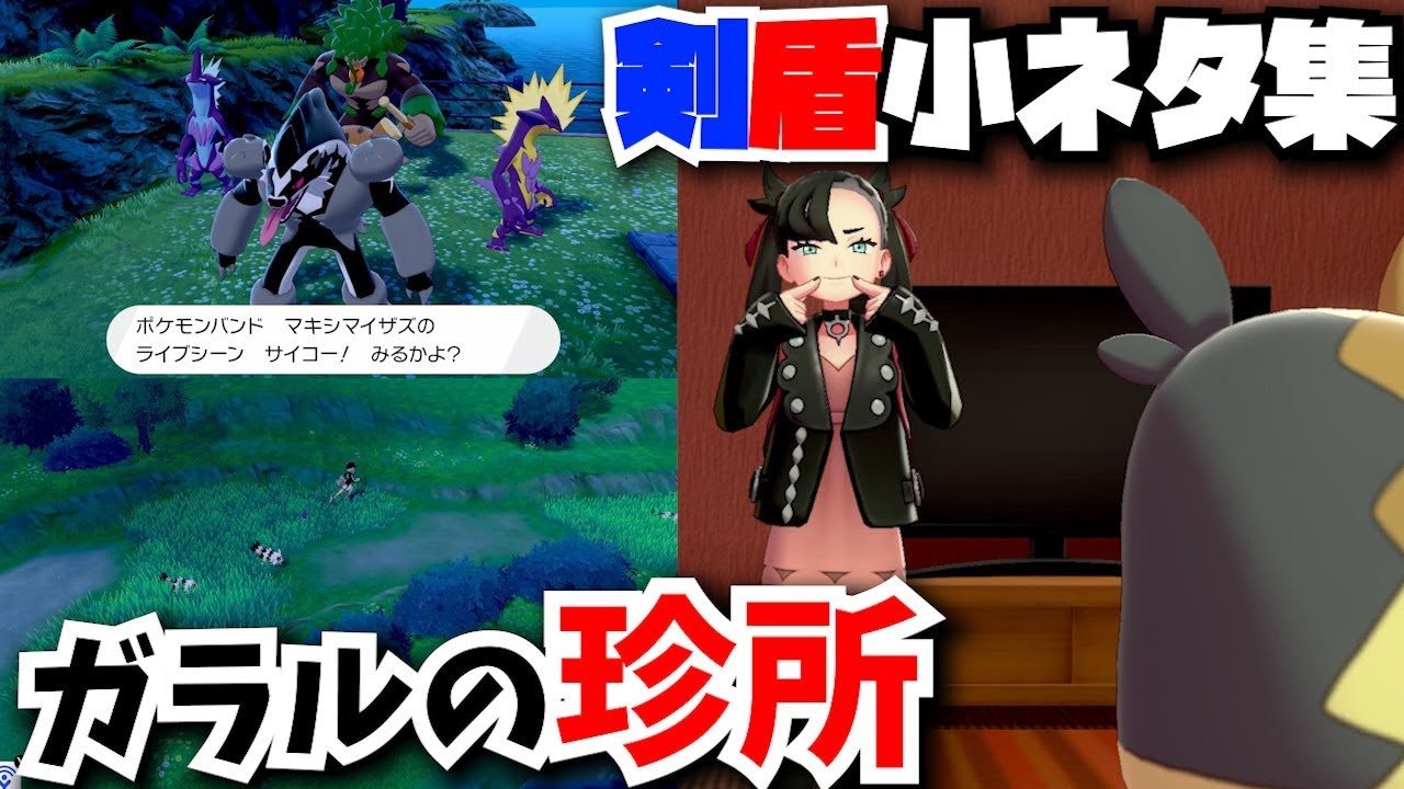 【小ネタ】ガラル珍百景を紹介〜幽霊/ジグザグマの巣/マリィの笑顔など〜【ポケモン剣盾】