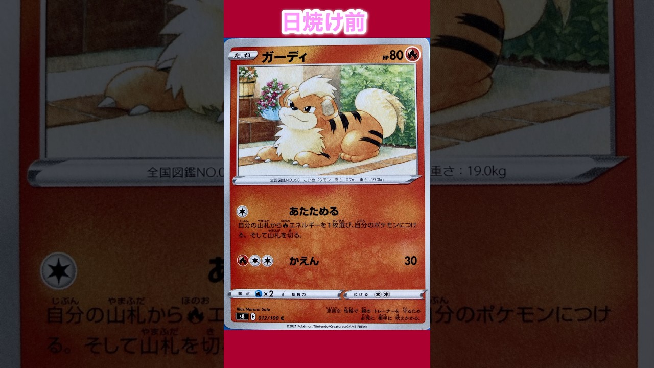 ガーディの日焼けポケカ