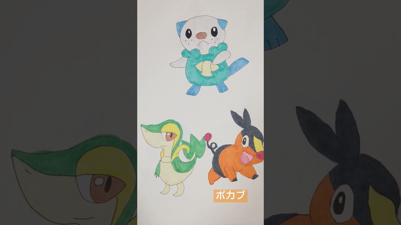 【ポケモン】　御三家　ミジュマル　ポカブ　ツタージャ　小6ラムラ作#ポケモン
