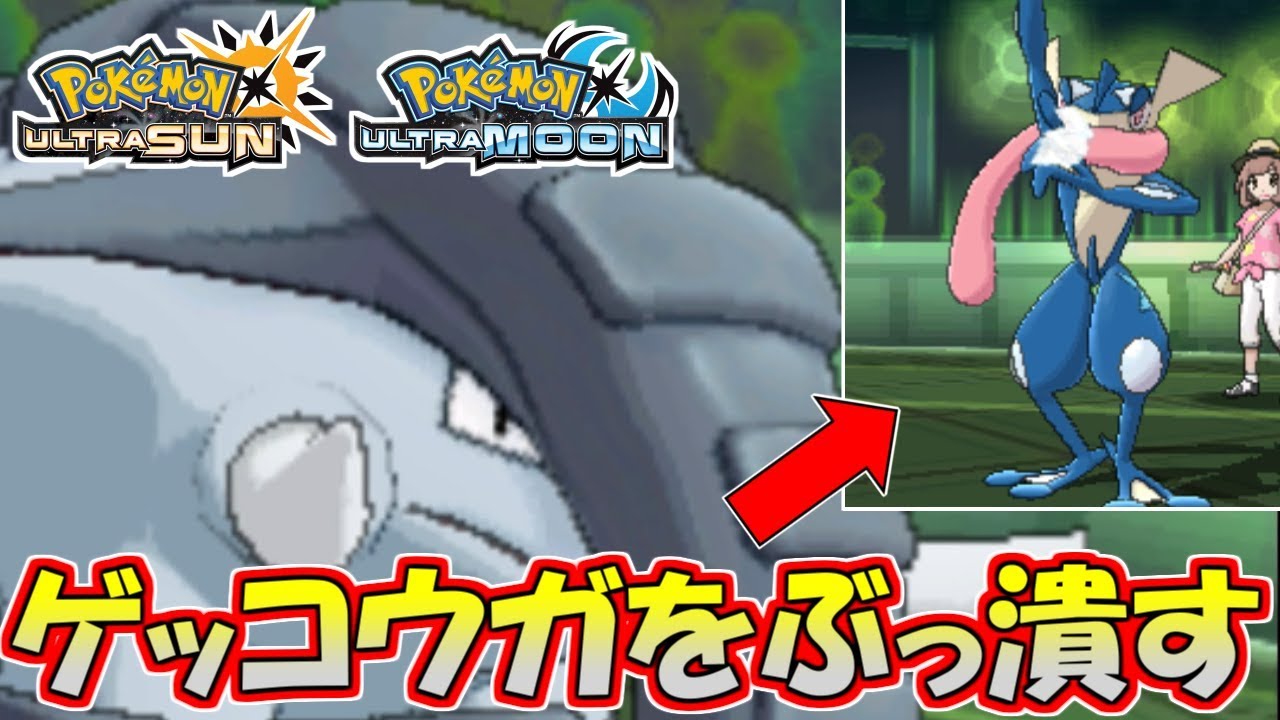 【ポケモンUSUM】狂気の殺意！ドンファンでゲッコウガを狩りたい男【ウルトラサン/ウルトラムーン】