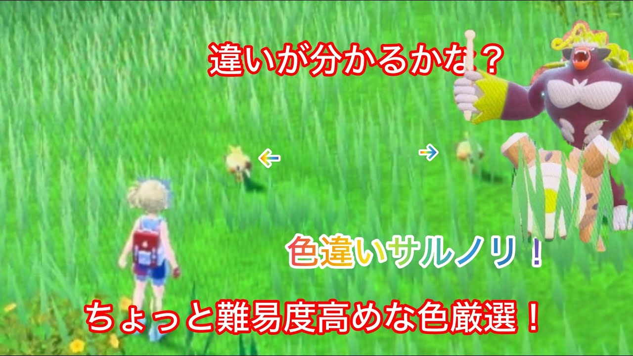 色違いゴリランダーをGETしていくぞ！効率の良い場所も紹介！