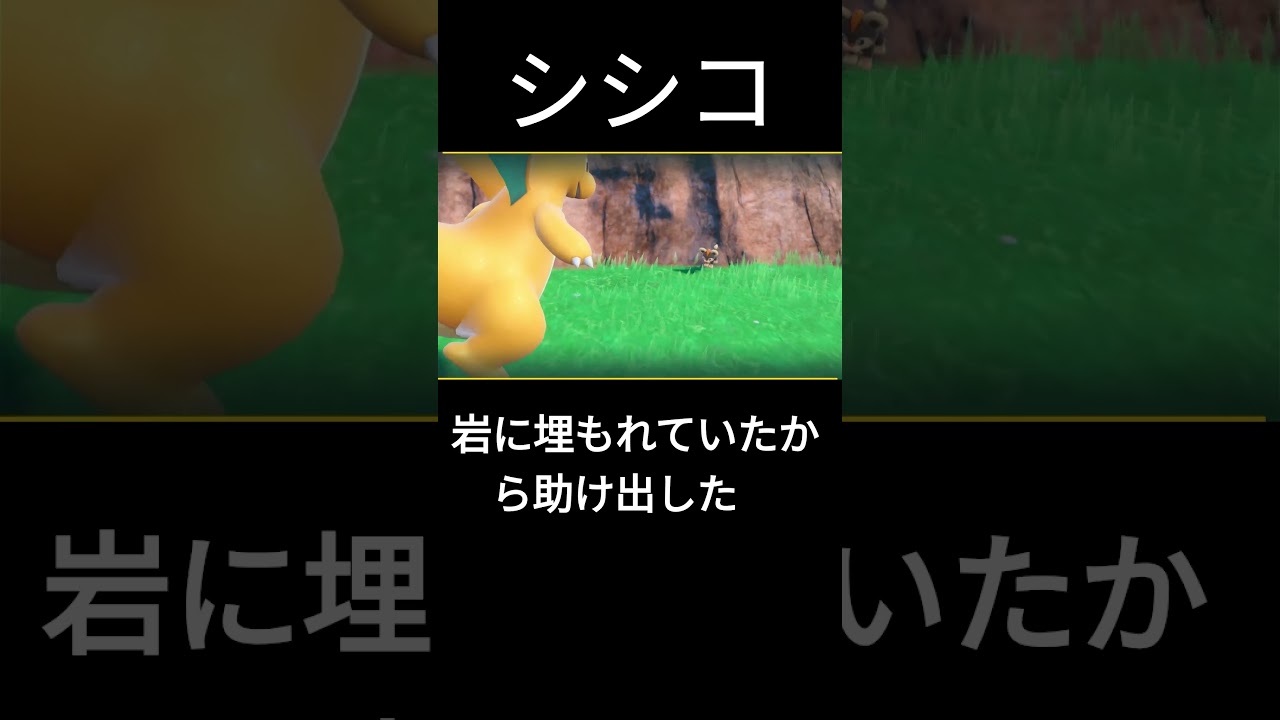 【ポケモンSV】シシコが岩に埋もれてたので助け出した #ポケモンsv #ポケモン＃シシコ＃バグ
