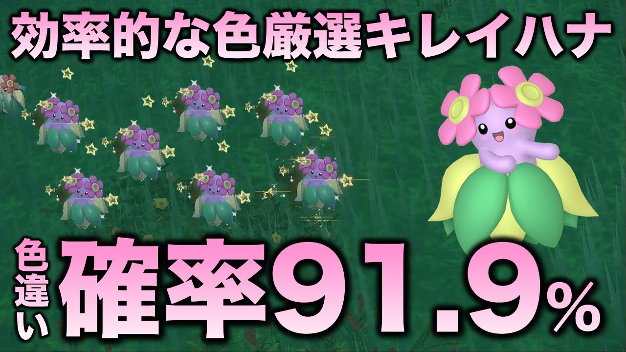 【爆速ポイント!】キレイハナ編!!【ポケモンSV/スカーレット・バイオレット】