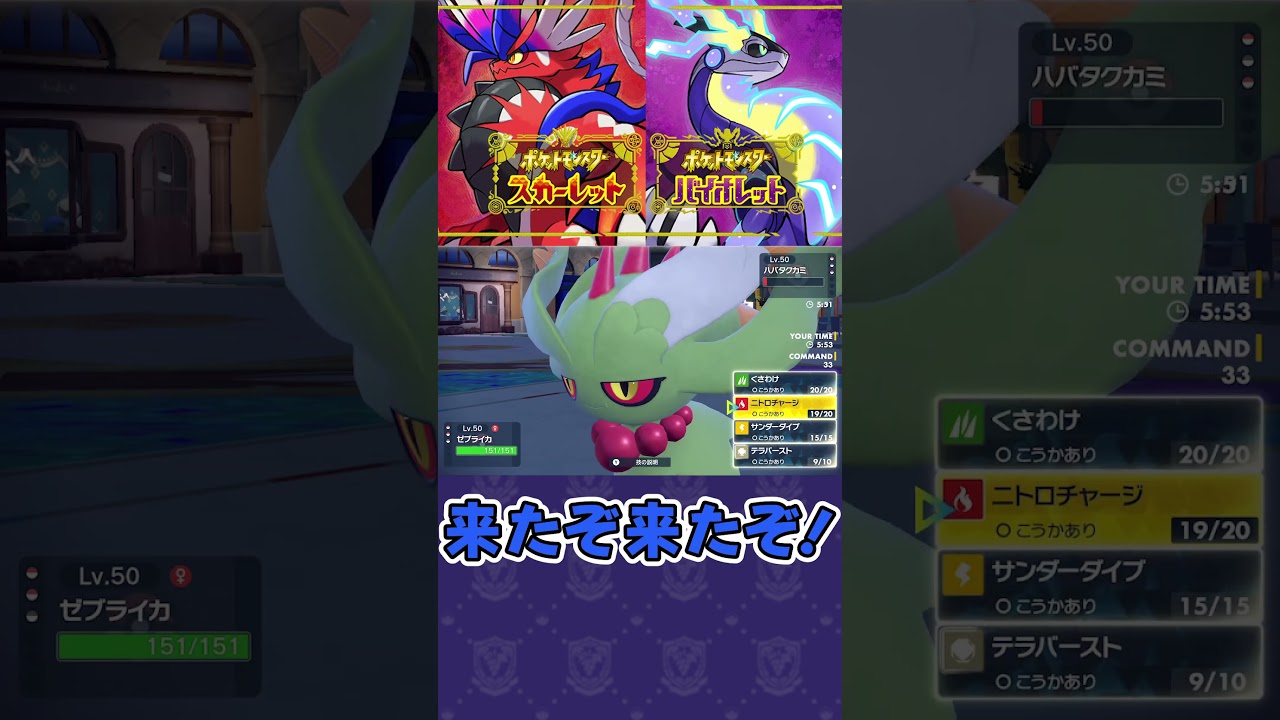 岩ゼブライカが何故か環境に刺さりすぎている？　#shorts #short #ポケモン #ポケットモンスター  #ポケットモンスタースカーレットバイオレット