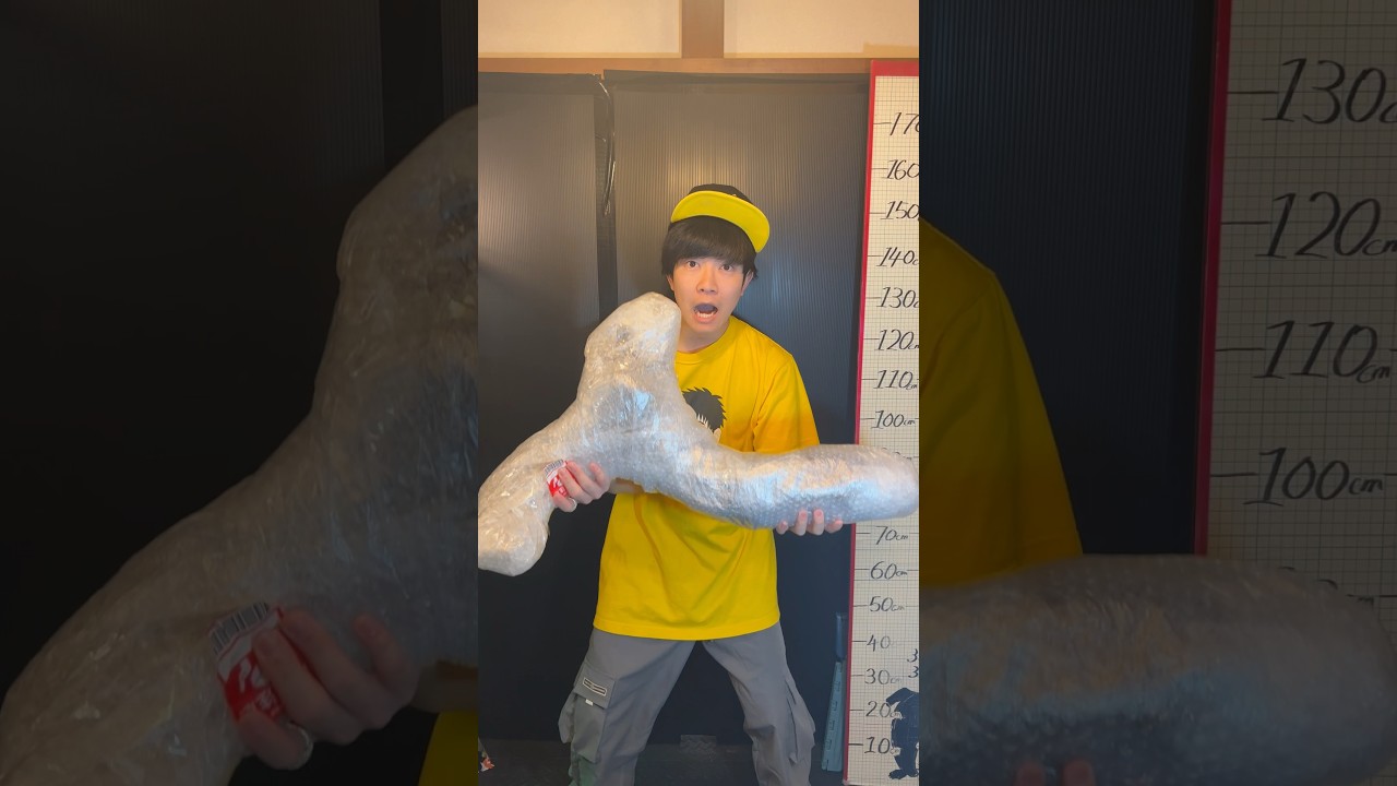 家に巨大〇〇が届きましたがぶっ壊れてました…