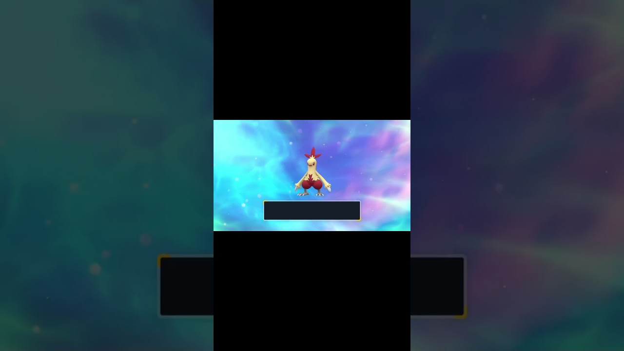 【ポケモンSV】色違いアチャモ → ワカシャモ → バシャーモ【ポケットモンスタースカーレットバイオレット】 #pokemon #ポケモンsv #色違い #ポケットモンスター
