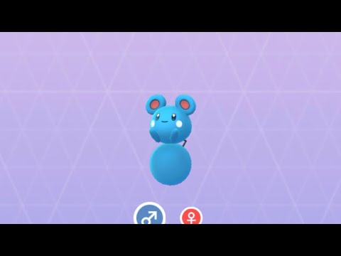 Pokémon GO 298 ルリリ