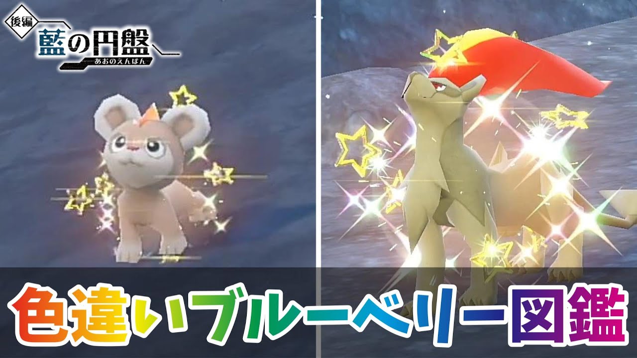 【ポケモンSV】色違いシシコ・カエンジシ厳選！【色違いブルーベリー図鑑 ＃１６】