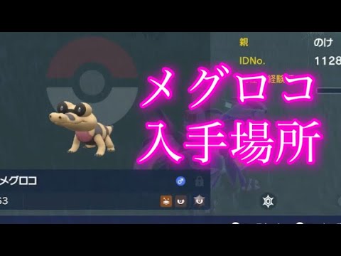 【ポケモンSV】【藍の円盤】メグロコ入手場所