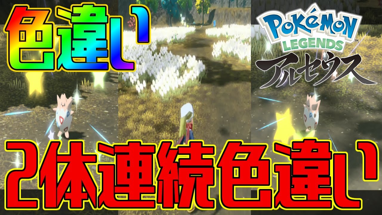 【ポケモンアルセウス】色違いトゲピーが2体連続で来た大量発生【Pokémon LEGENDS アルセウス】
