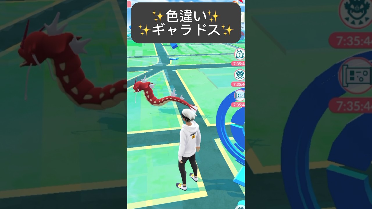 【ポケモンGO】色違いギャラドスが現れた!!【✨Shiny Gyarados Pokémon GO✨】