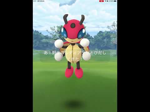 【ポケモンGO】初めて、野生のレディアンに遭遇！