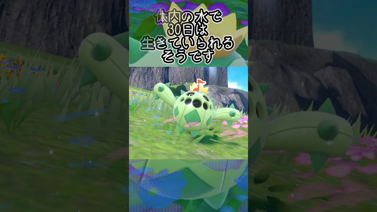 【疲れた人向け】サボネア6匹とピクニック【ポケモンSV】#Shorts