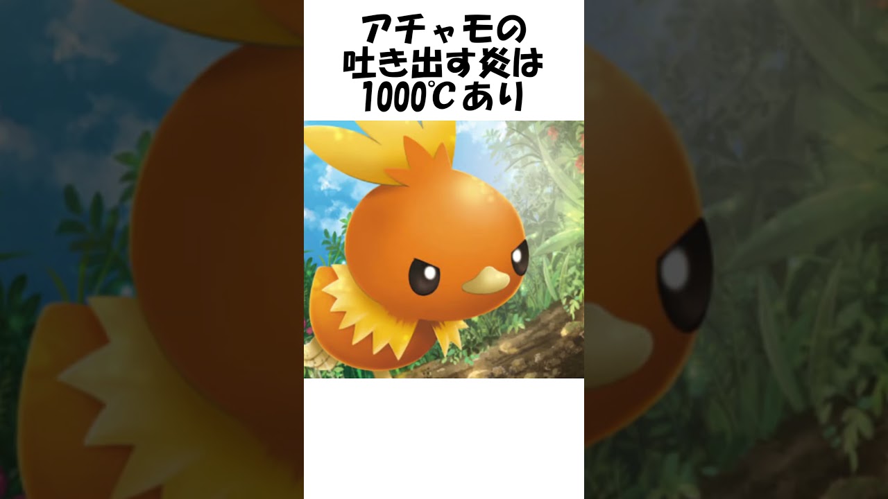 【ポケモン】アチャモのぽかぽか #shorts