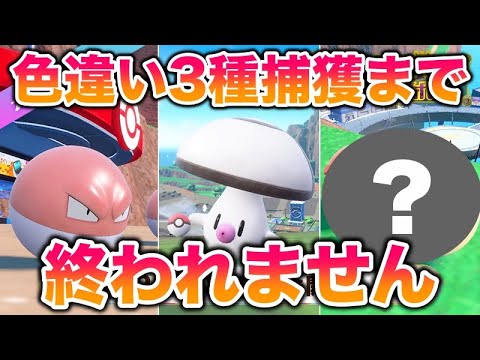 ポケモンデー大量発生の色違い2種類をゲットするまで終われません（タマゲタケ配信前に捕まえちゃった）