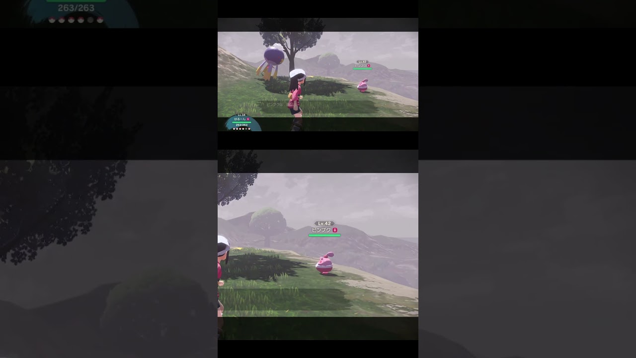 ピンプク...【ポケモンレジェンズアルセウス】