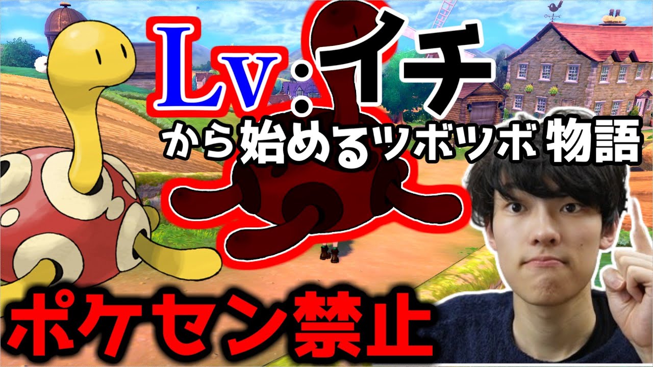 レベル1ツボツボ1匹縛りポケセン禁止で殿堂入りを目指す旅その3