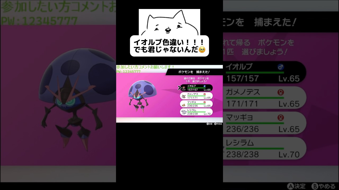イオルブ色違い！！！！うーん… #ポケモン #ポケモン剣盾 #ポケモン色違い #色違いポケモン #色違い厳選　#色違いポケモン #色違い