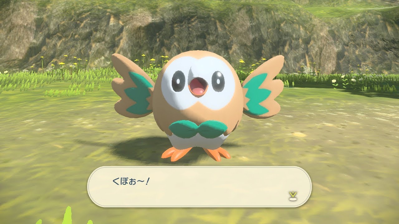 愛しきモクローとの出会い