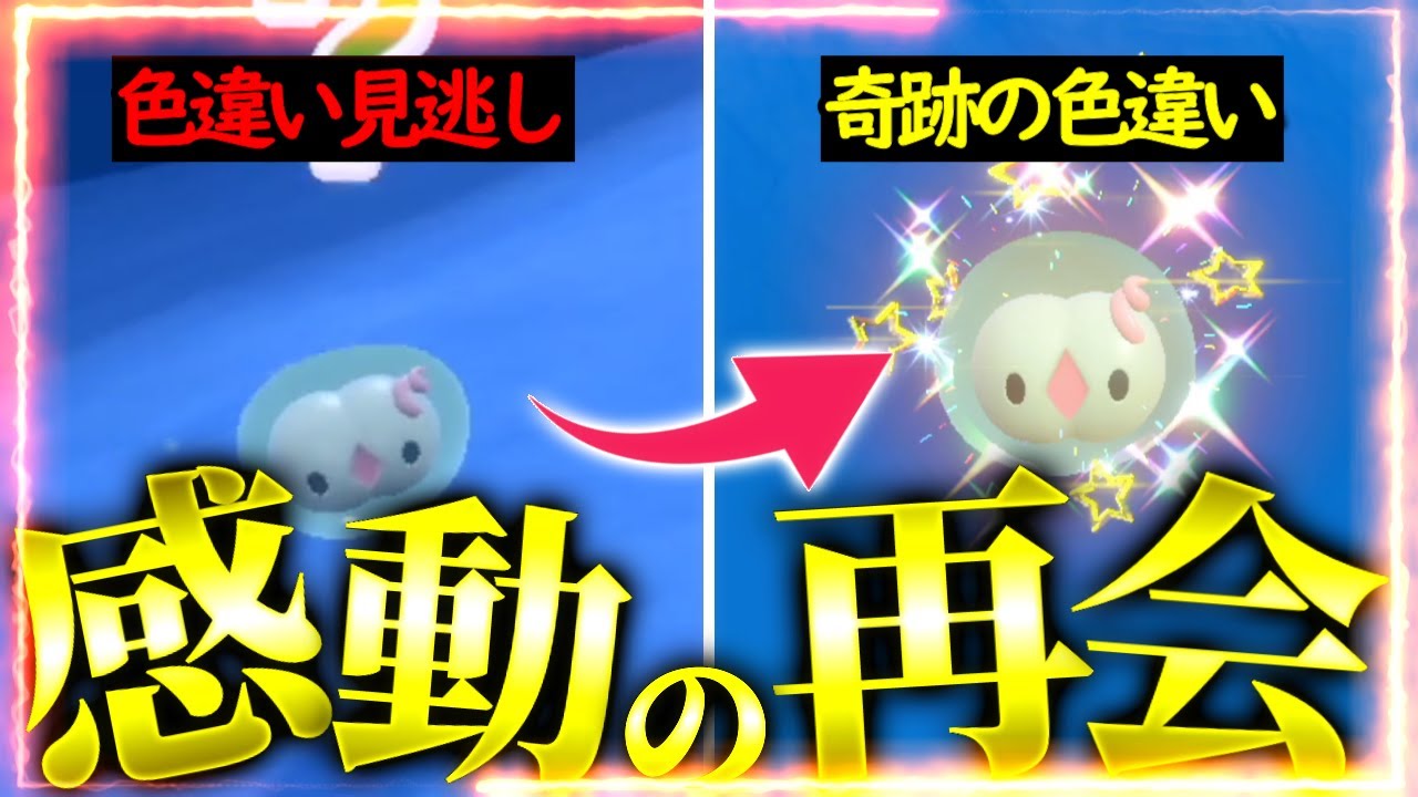 【神回】1度色違いを見逃したユニランが○○の姿で帰ってきた【ポケモンsv】