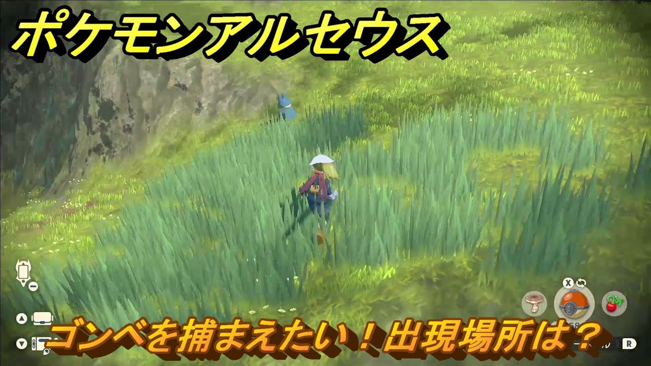 ポケモンアルセウス　ゴンベを捕まえたい！出現場所は？　＃３８　【Pokémon LEGENDS アルセウス】