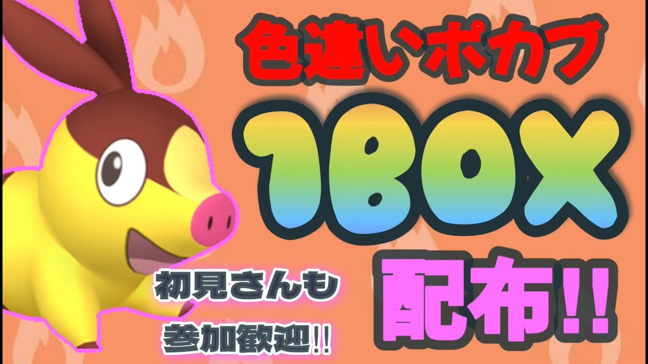 「色違い配布！ポケモンSV」色違いポカブ1BOX配布！ラストワンもあるよ！！！