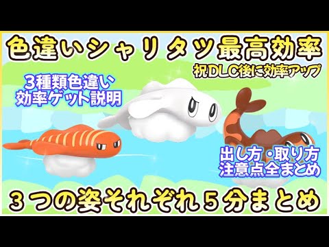 色違いシャリタツ3つの姿最高効率厳選全部で5分まとめ DLC後に祝効率化 #ポケモンsv #最高効率 #色違い #シャリタツ #たった #それた #のびた #大量発生 #ピクニック