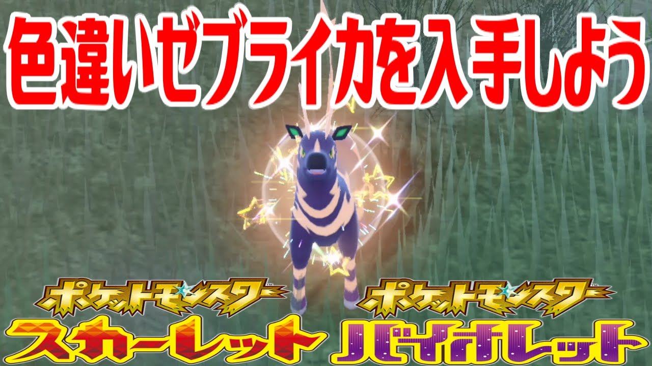 【ポケモンSV】色違いゼブライカを入手しよう【ポケットモンスター スカーレット・バイオレット ゼロの秘宝 藍の円盤】Pocket Monsters